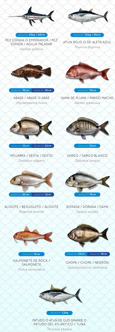 tallas_minimas_Canarias