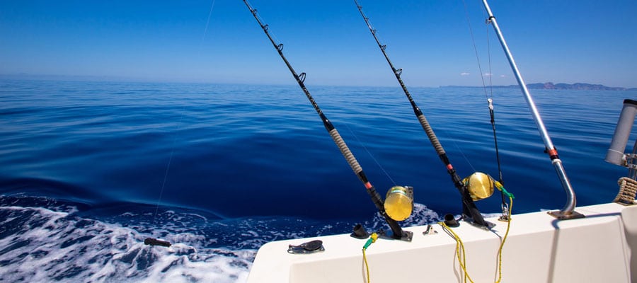 Cannes à pêche prêtes pour la pêche récréative en mer en Espagne