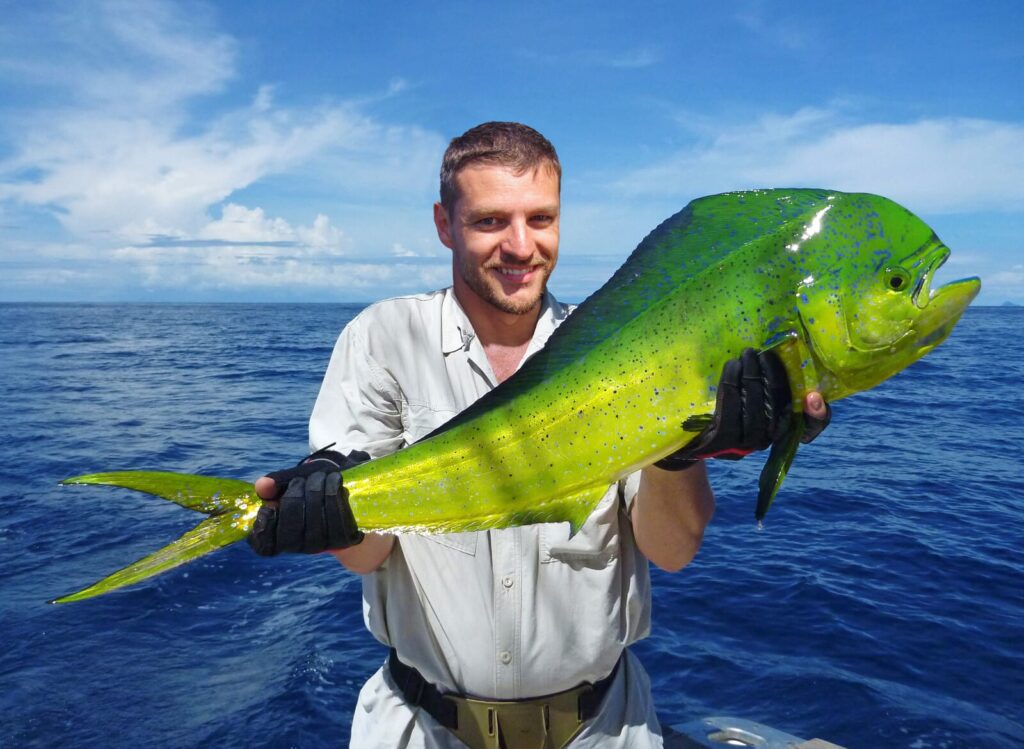 Pêcheur récréatif présentant une dorade coryphène (mahi-mahi) capturée en Espagne