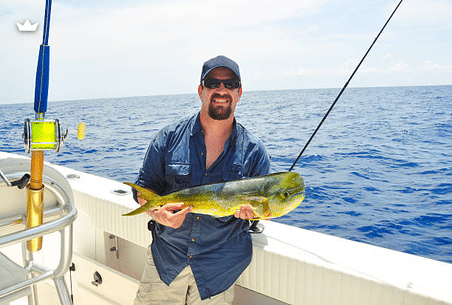 mahi-mahi pêché lors d'une sortie de pêche en haute mer depuis un bateau