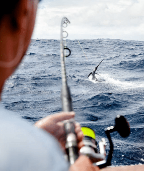 marlin azul pêché lors d'une sortie de pêche en haute mer depuis un bateau
