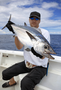 Beau thon pêché en haute mer avec un permis de pêche en règle